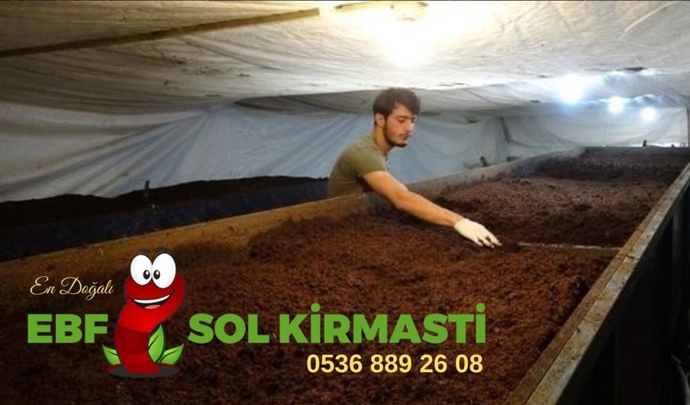 bursa solucan gübresi fiyat